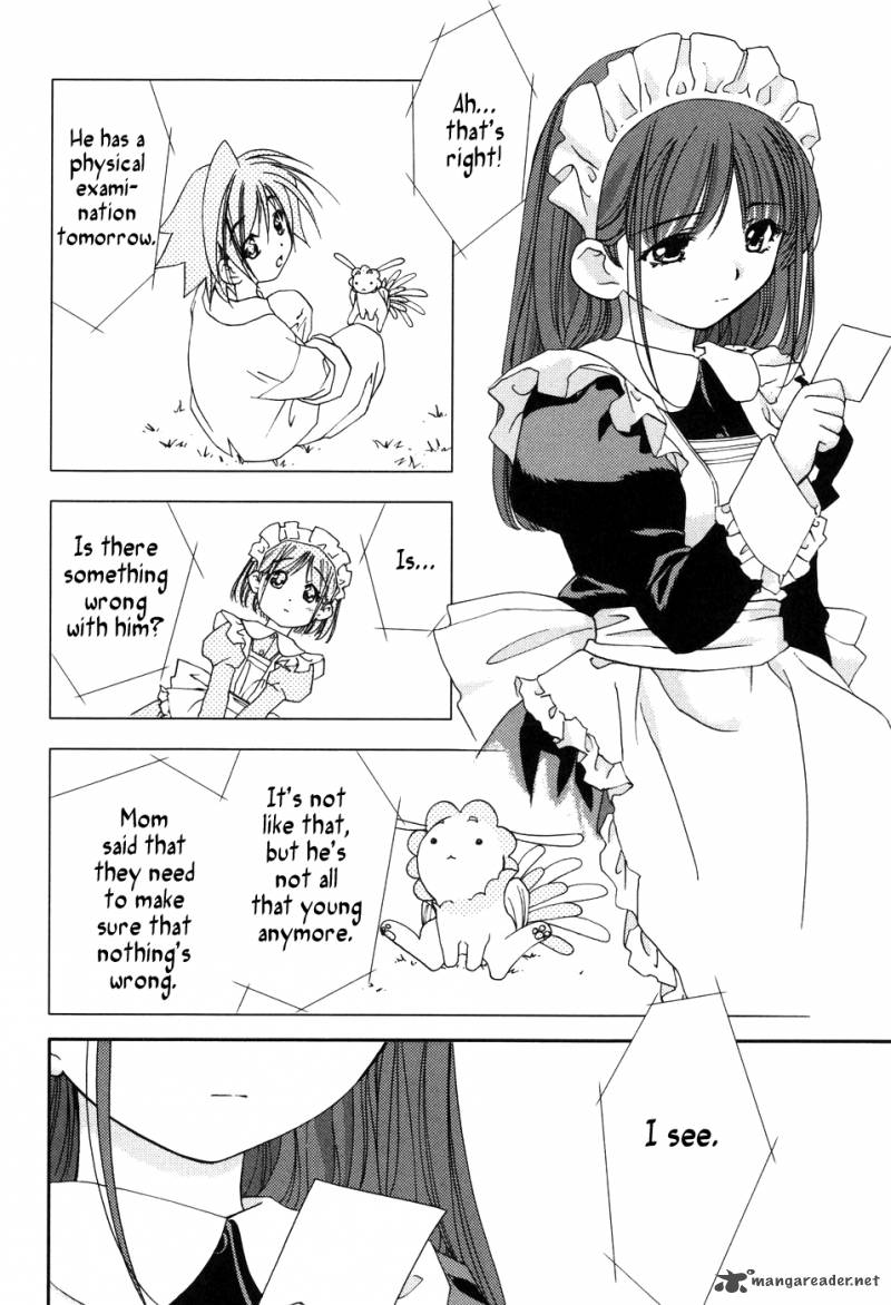 Fairial Garden 5 14