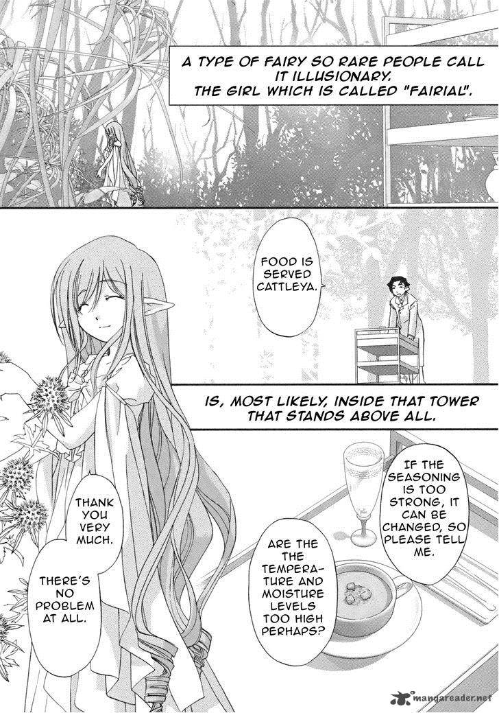 Fairial Garden 8 1