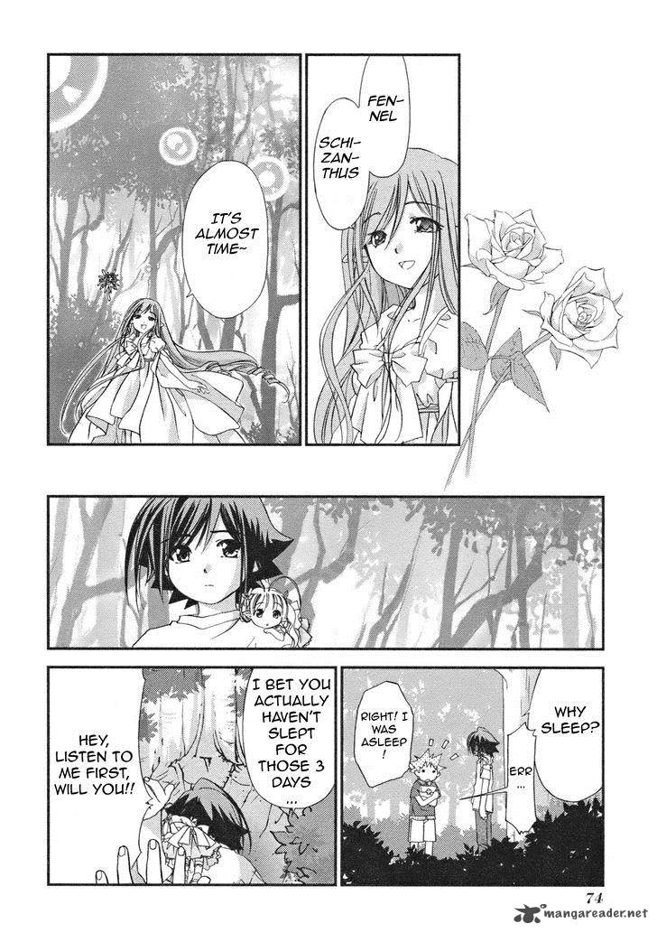 Fairial Garden 8 12
