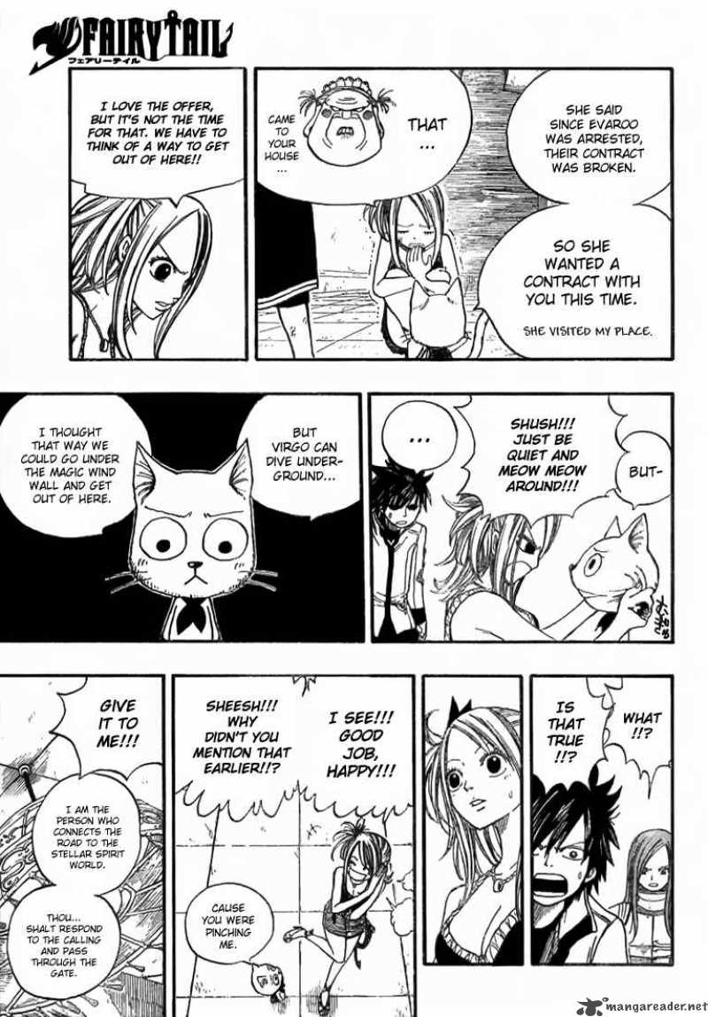 Fairy Tail 17 13