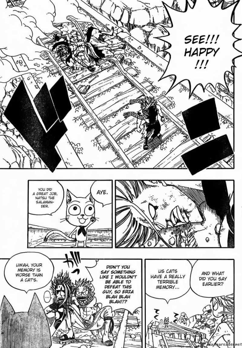 Fairy Tail 19 18