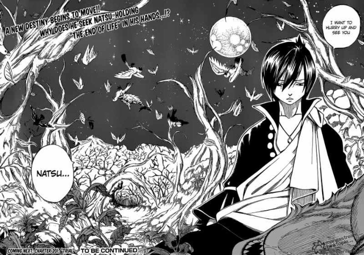 Fairy Tail 200 21