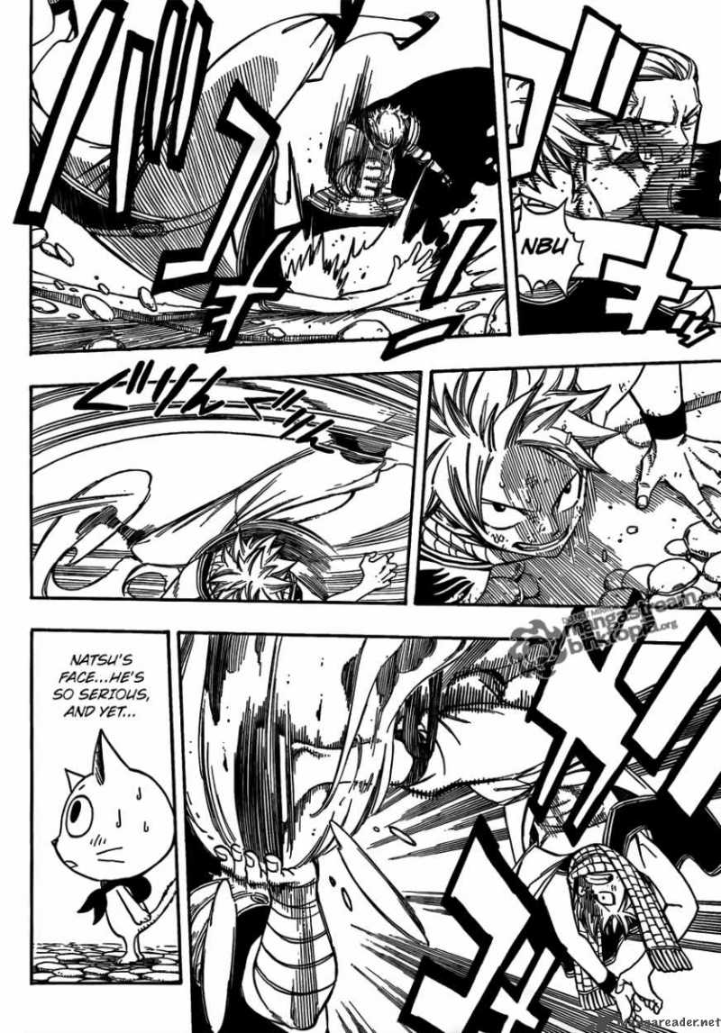 Fairy Tail 205 13