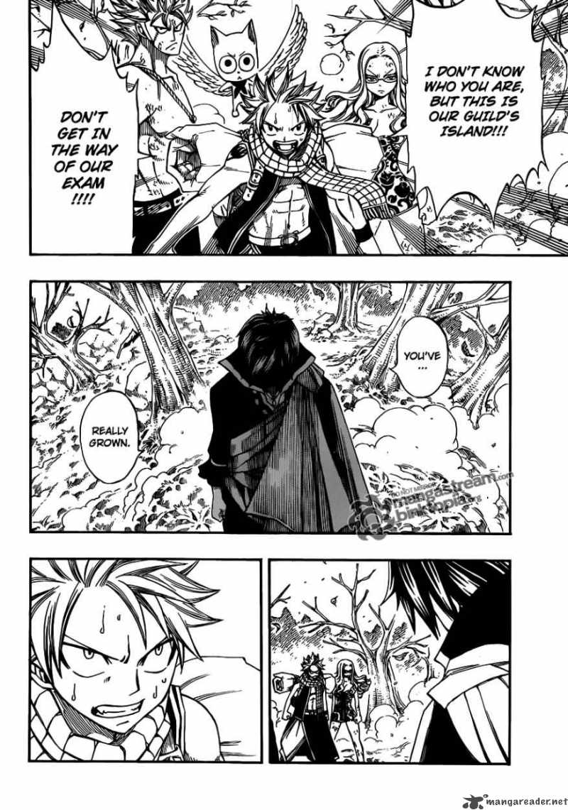 Fairy Tail 209 4