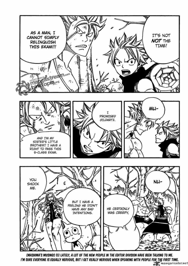 Fairy Tail 210 3