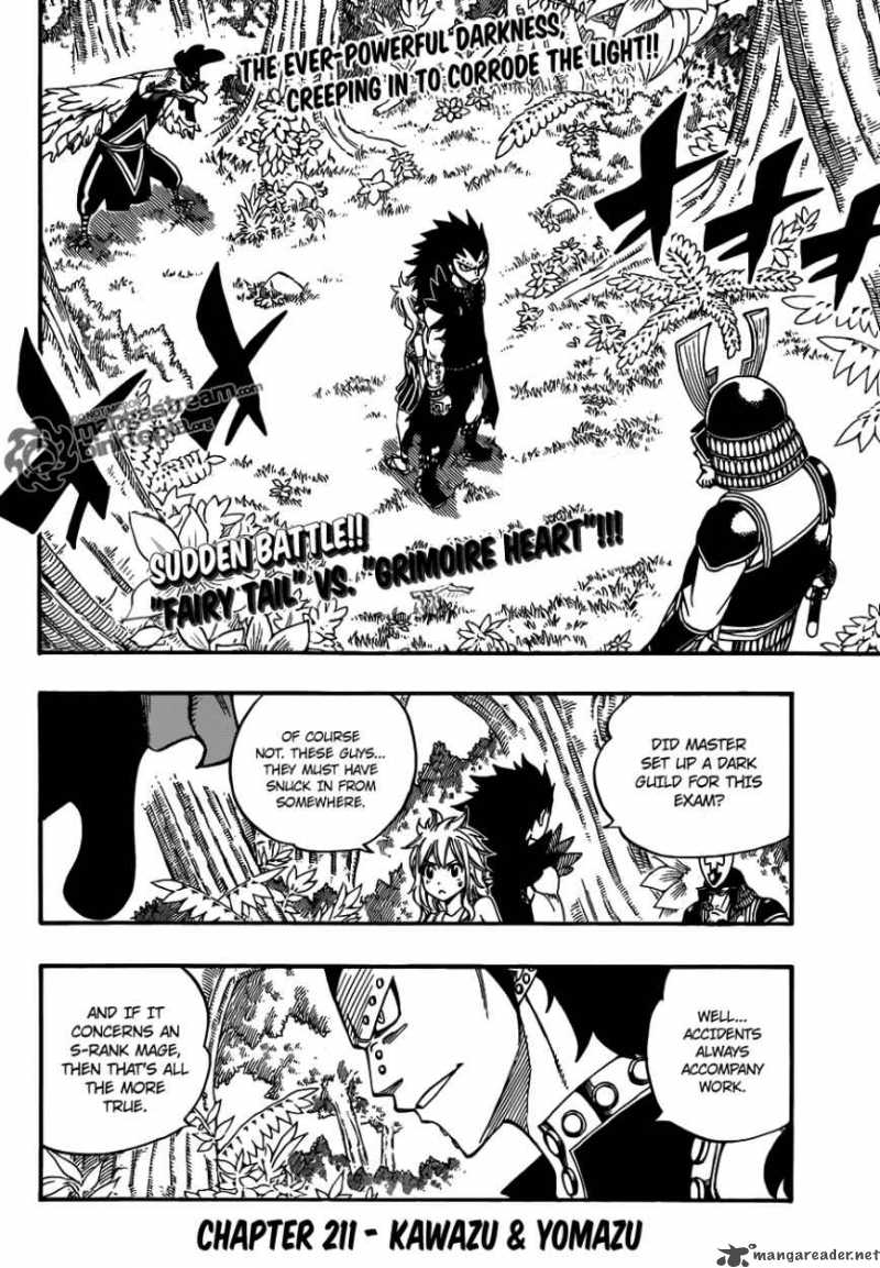 Fairy Tail 211 2