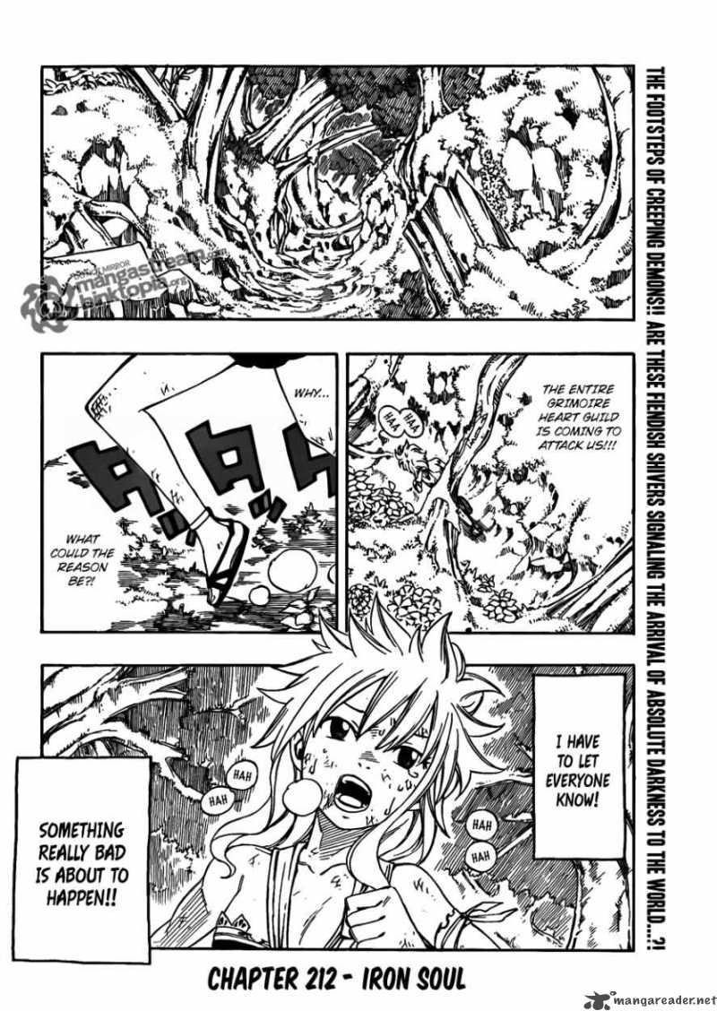 Fairy Tail 212 2