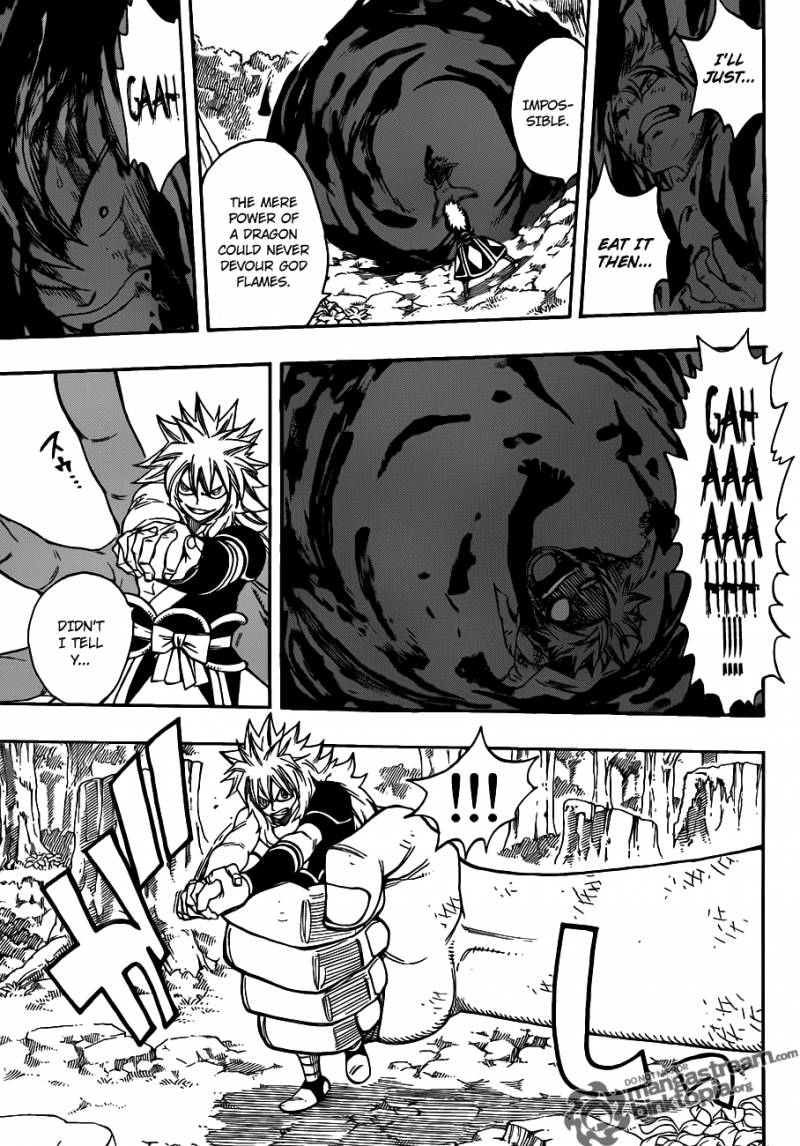 Fairy Tail 219 11