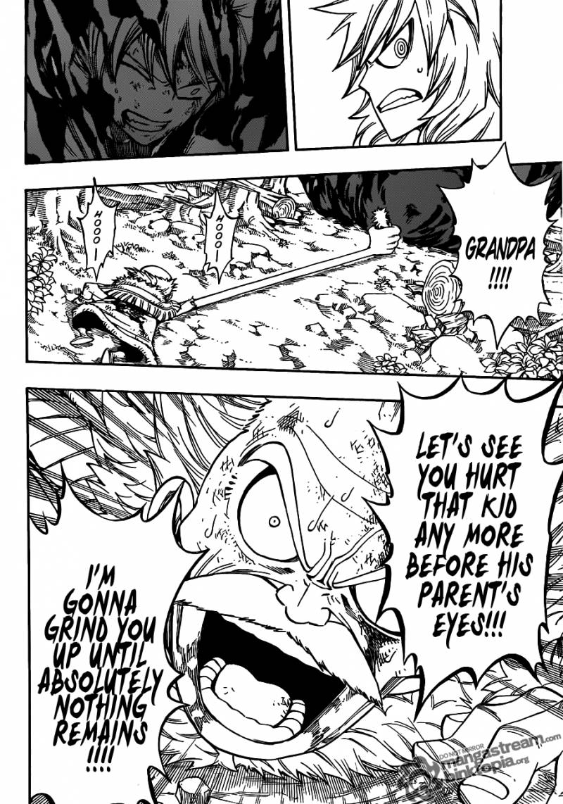 Fairy Tail 219 12