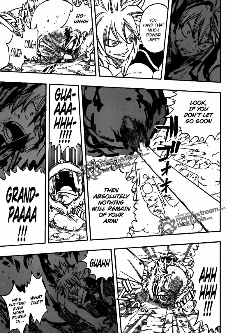 Fairy Tail 219 13