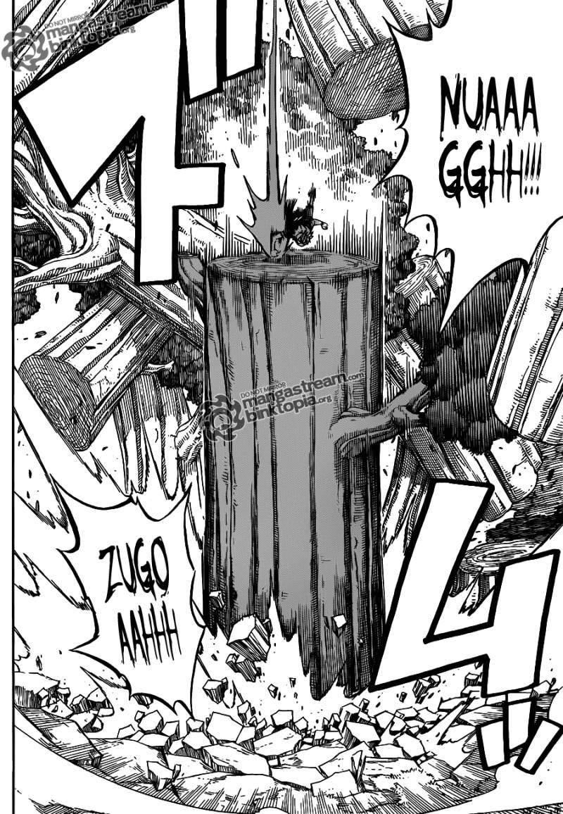 Fairy Tail 219 8