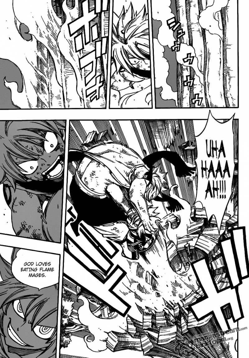 Fairy Tail 219 9