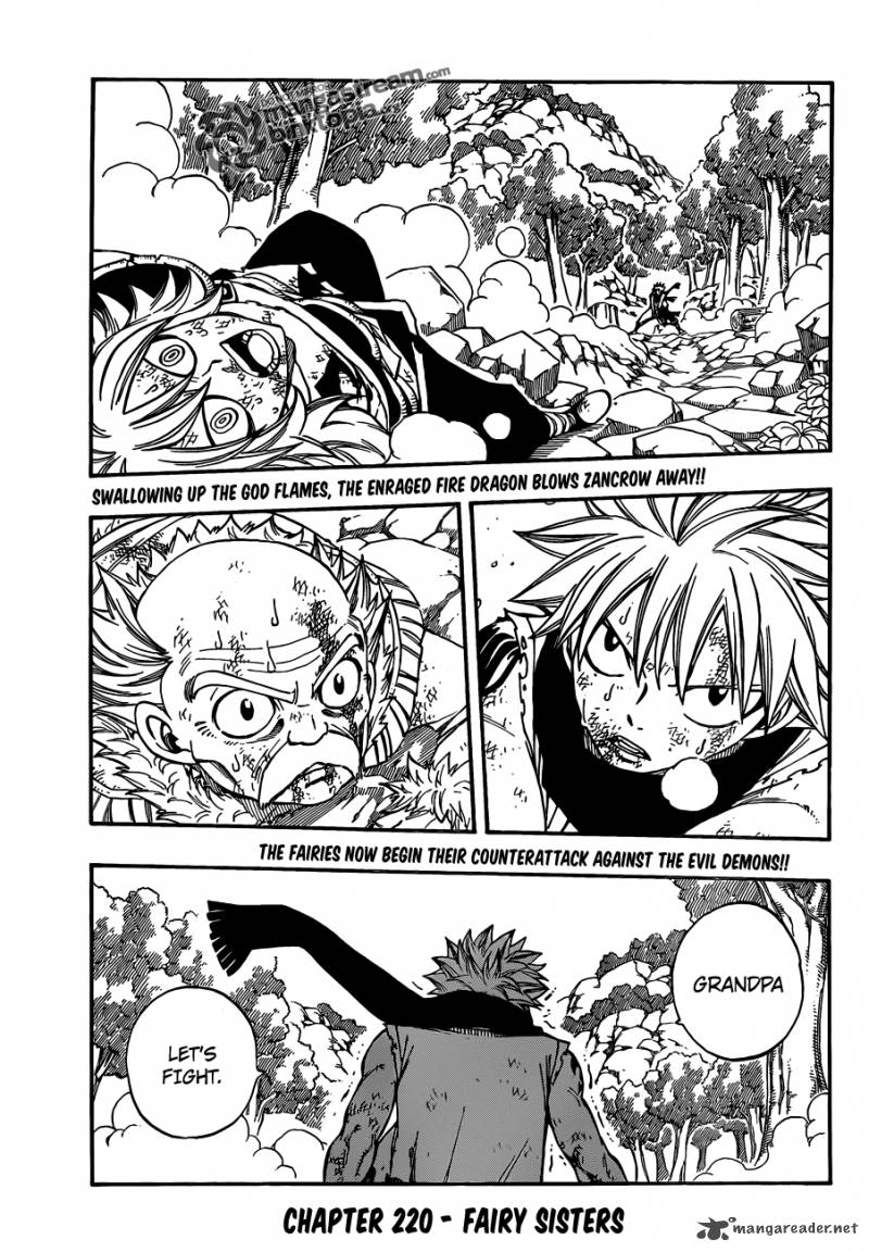 Fairy Tail 220 2