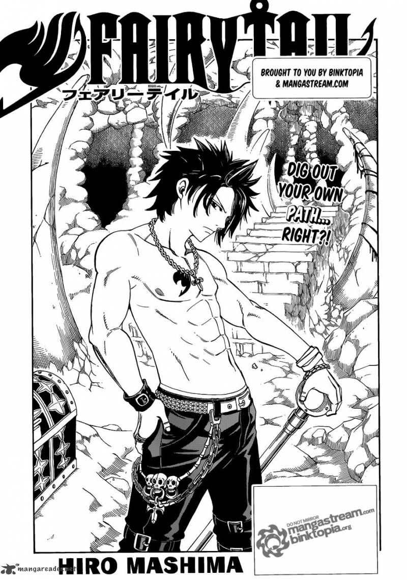 Fairy Tail 225 1