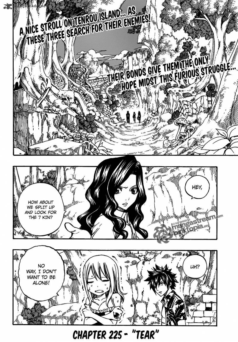 Fairy Tail 225 2