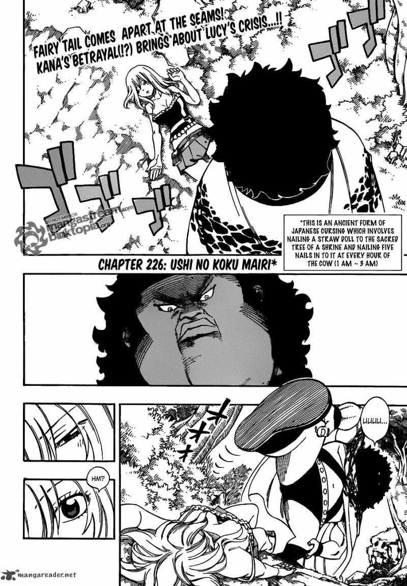 Fairy Tail 226 3