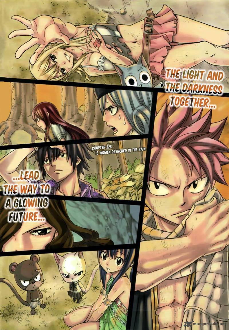 Fairy Tail 228 3