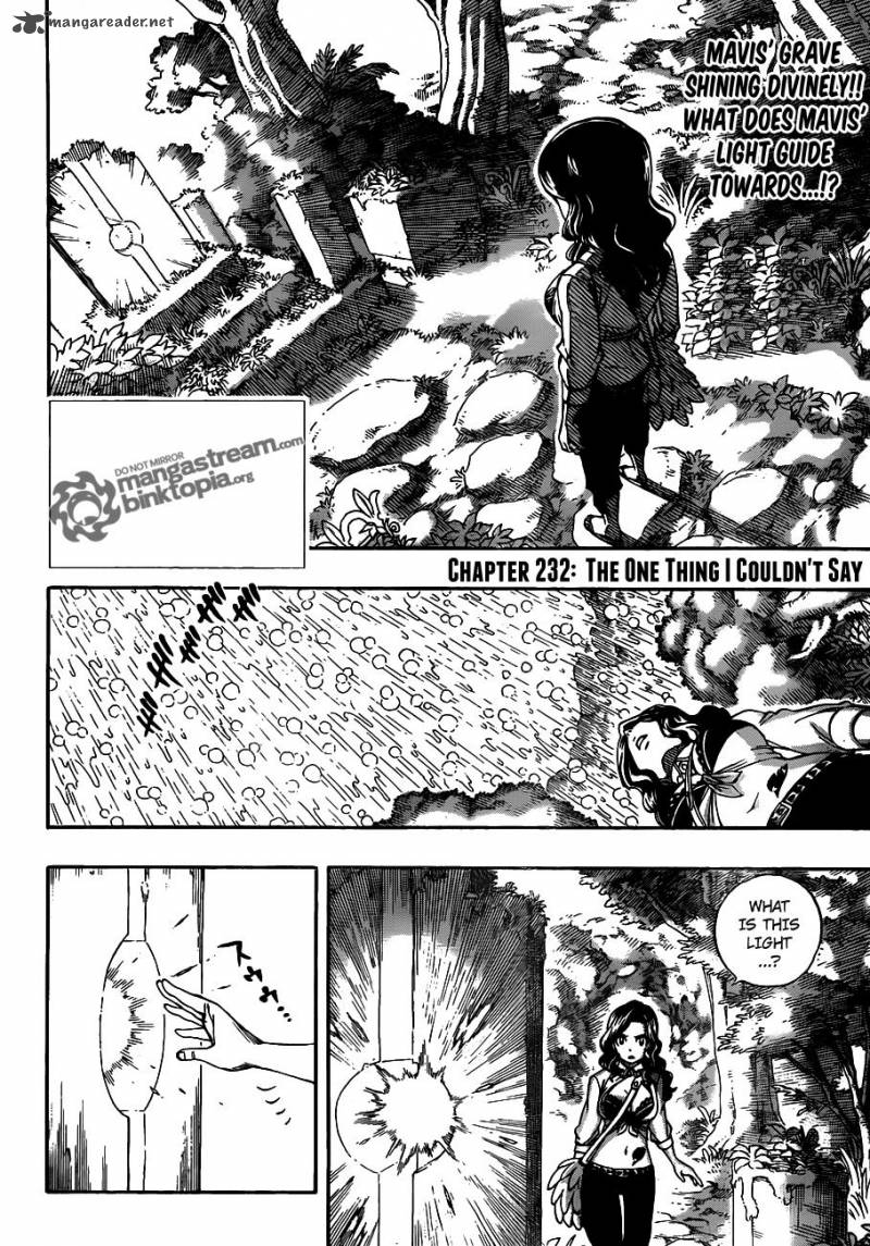Fairy Tail 232 2