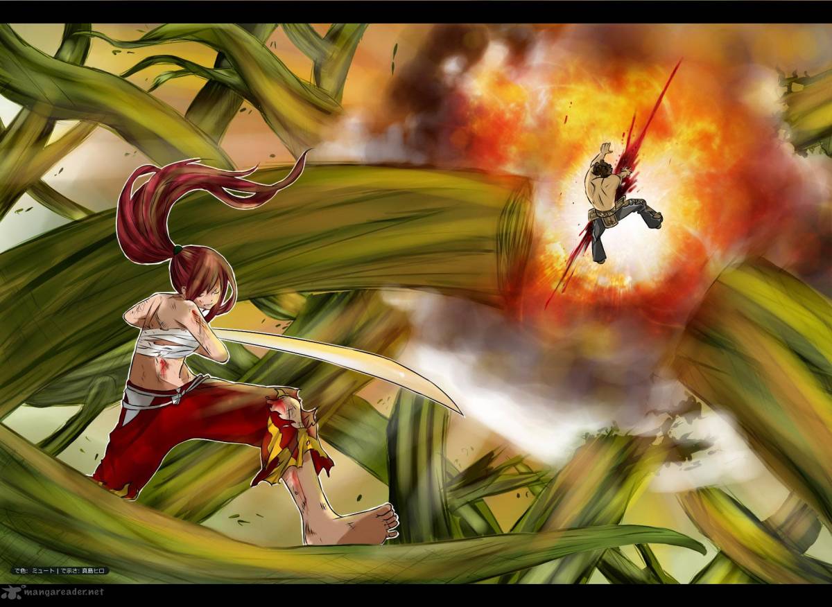 Fairy Tail 238 21
