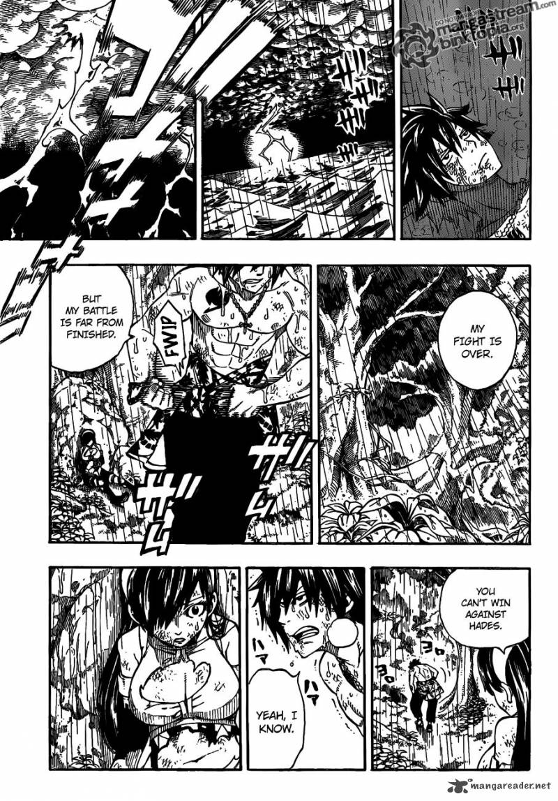 Fairy Tail 241 20