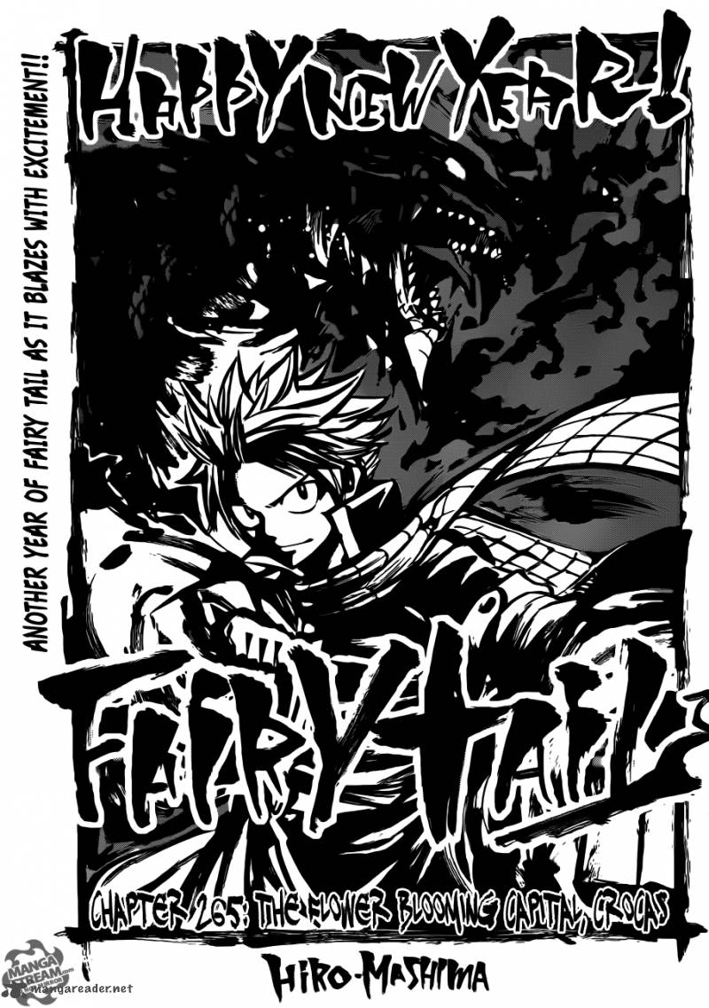 Fairy Tail 265 1