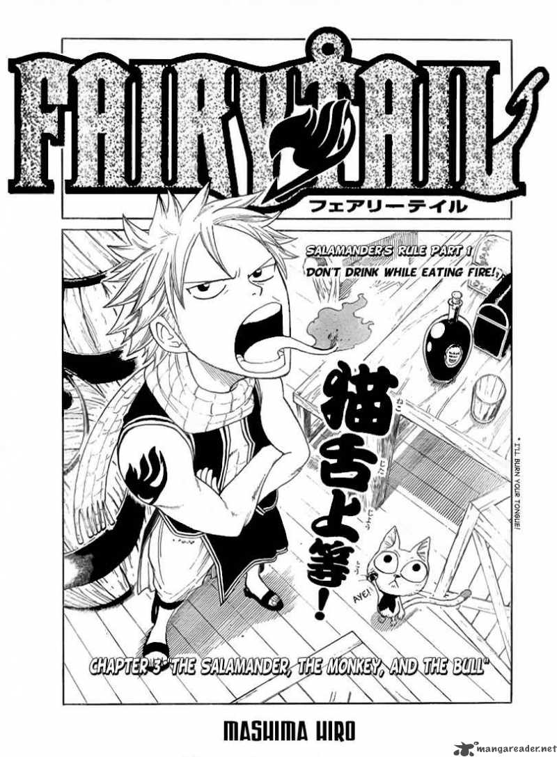 Fairy Tail 3 3