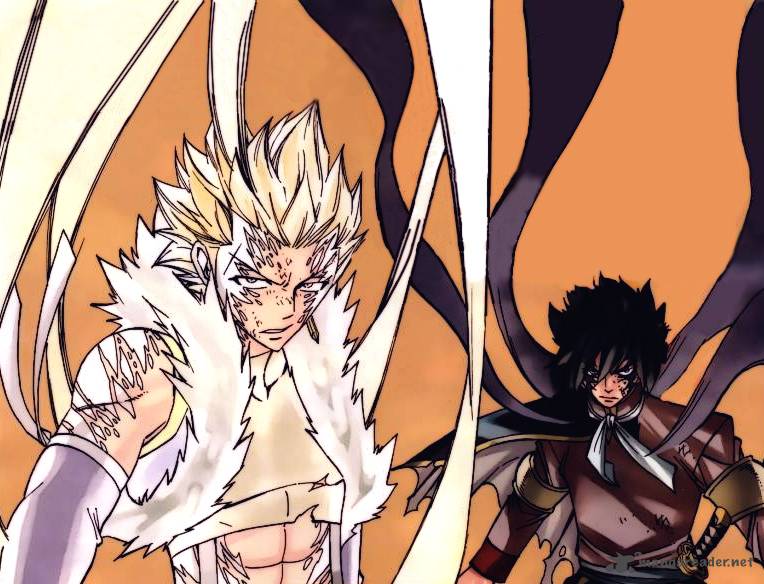 Fairy Tail 307 1