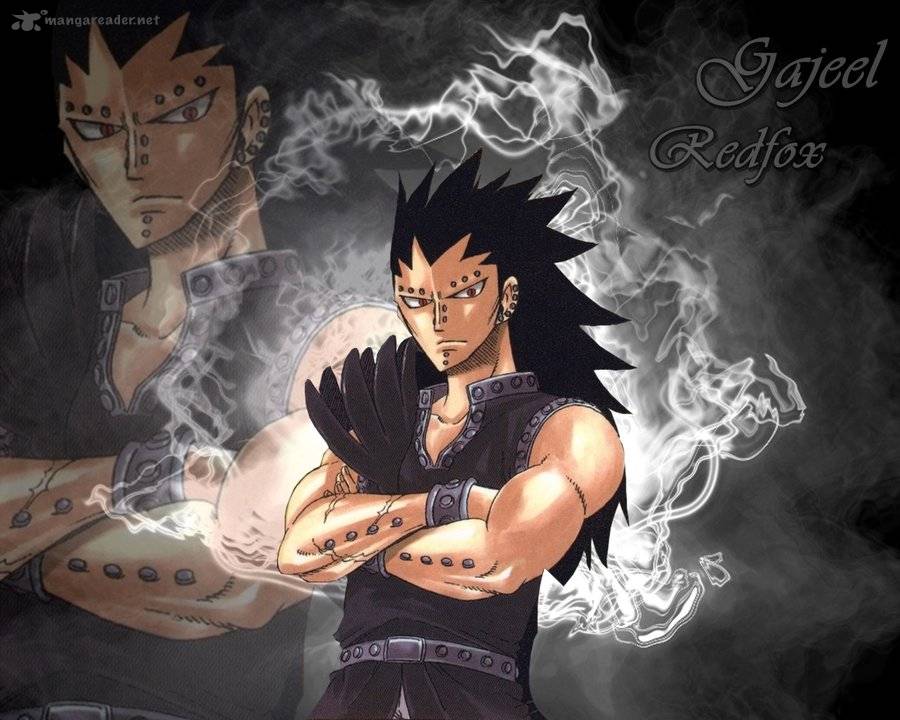 Fairy Tail 313 2