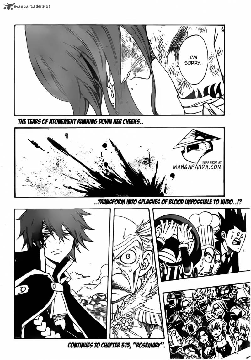 Fairy Tail 314 22