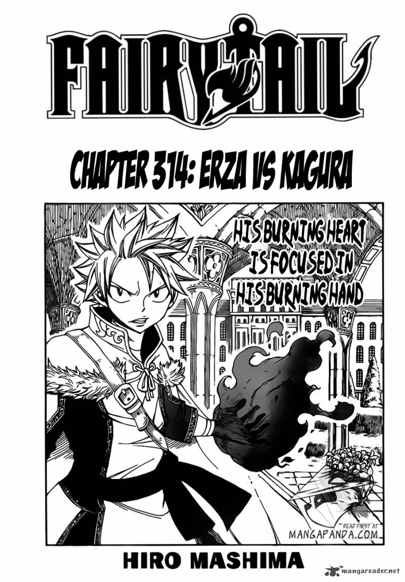 Fairy Tail 314 3