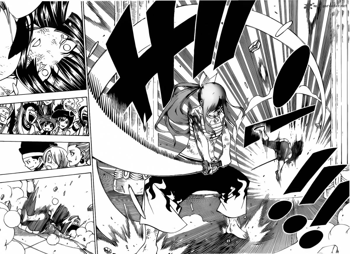 Fairy Tail 315 10