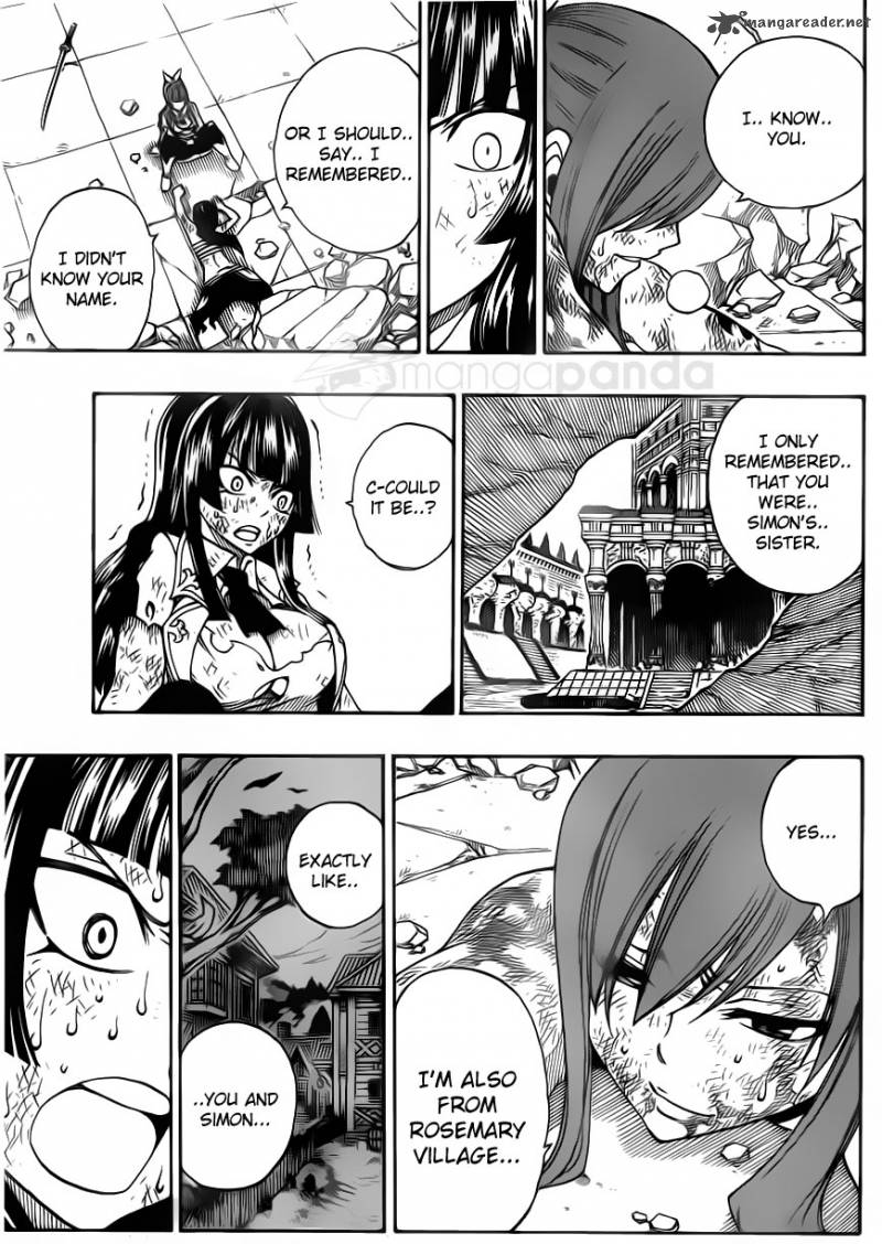 Fairy Tail 315 14