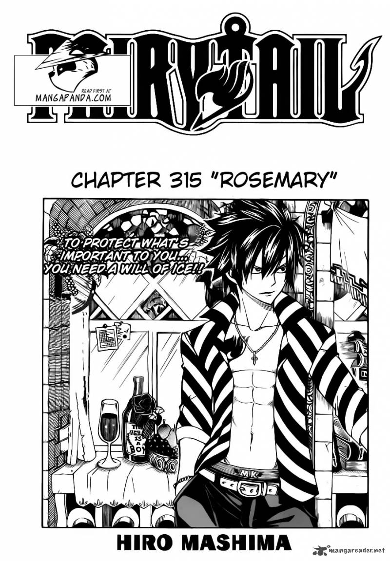Fairy Tail 315 3