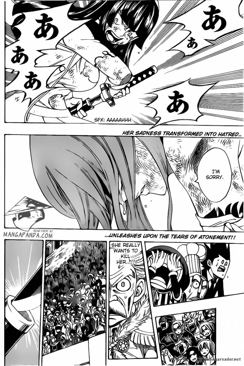 Fairy Tail 315 4