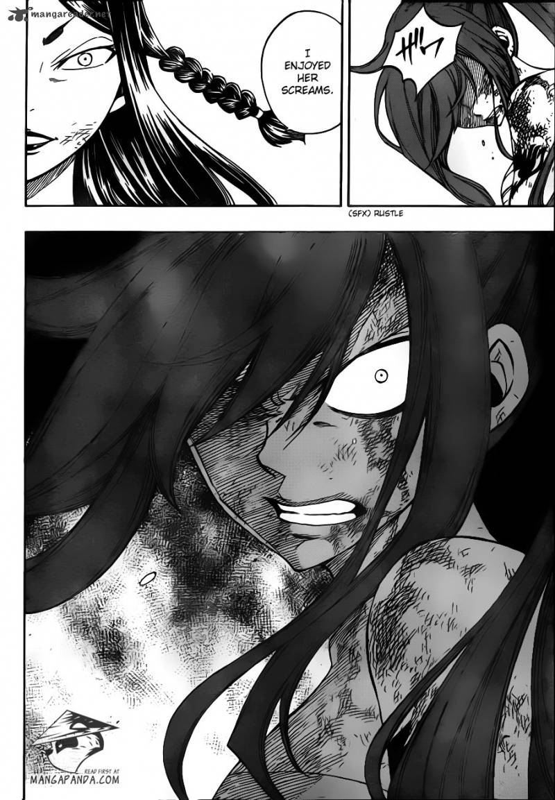 Fairy Tail 316 8