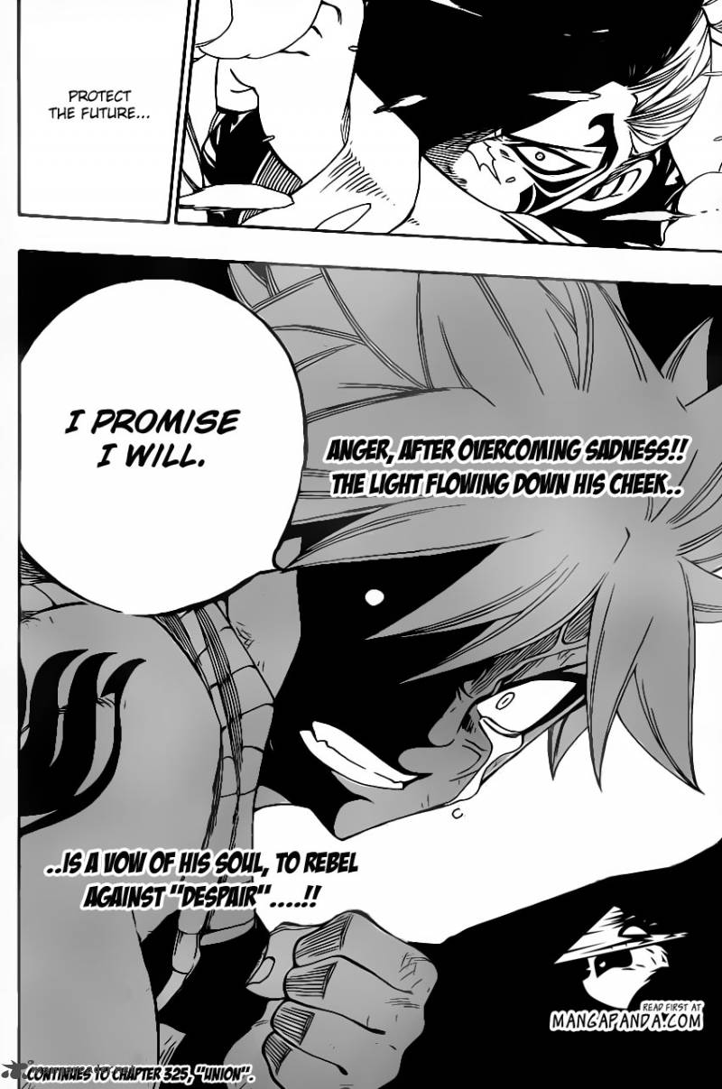 Fairy Tail 324 21