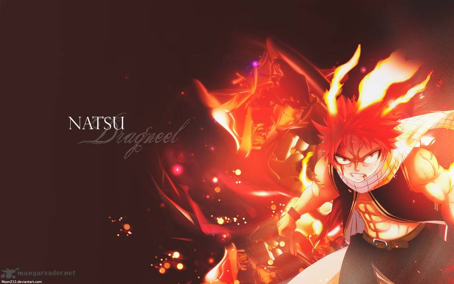 Fairy Tail 325 1