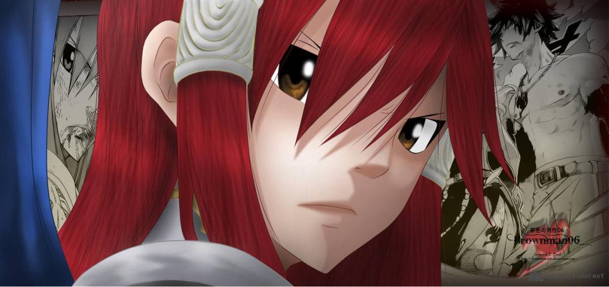 Fairy Tail 328 24