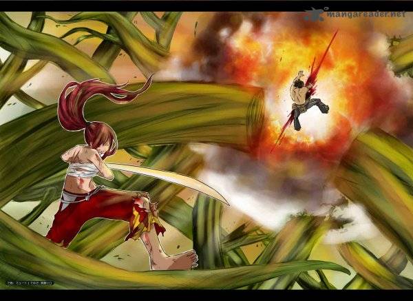 Fairy Tail 333 2