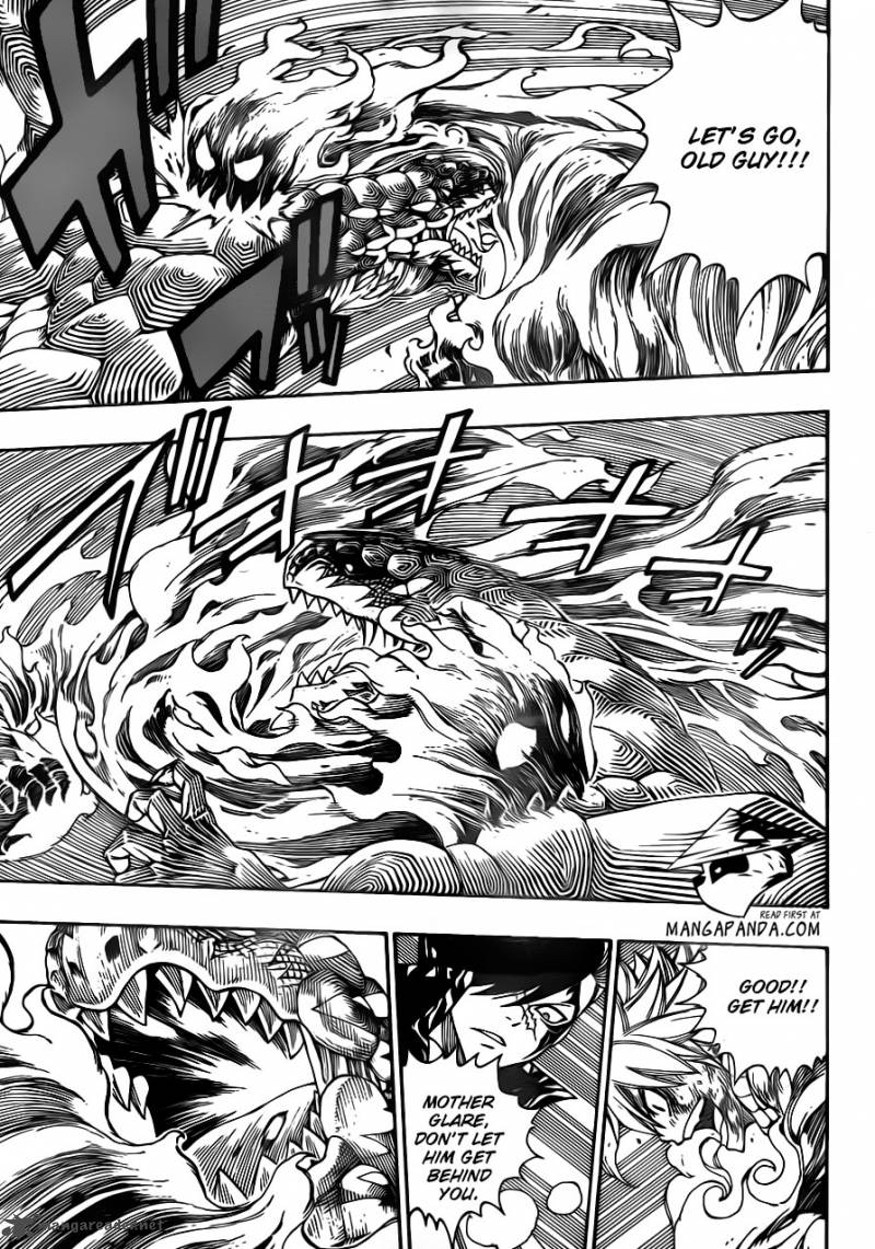 Fairy Tail 333 6