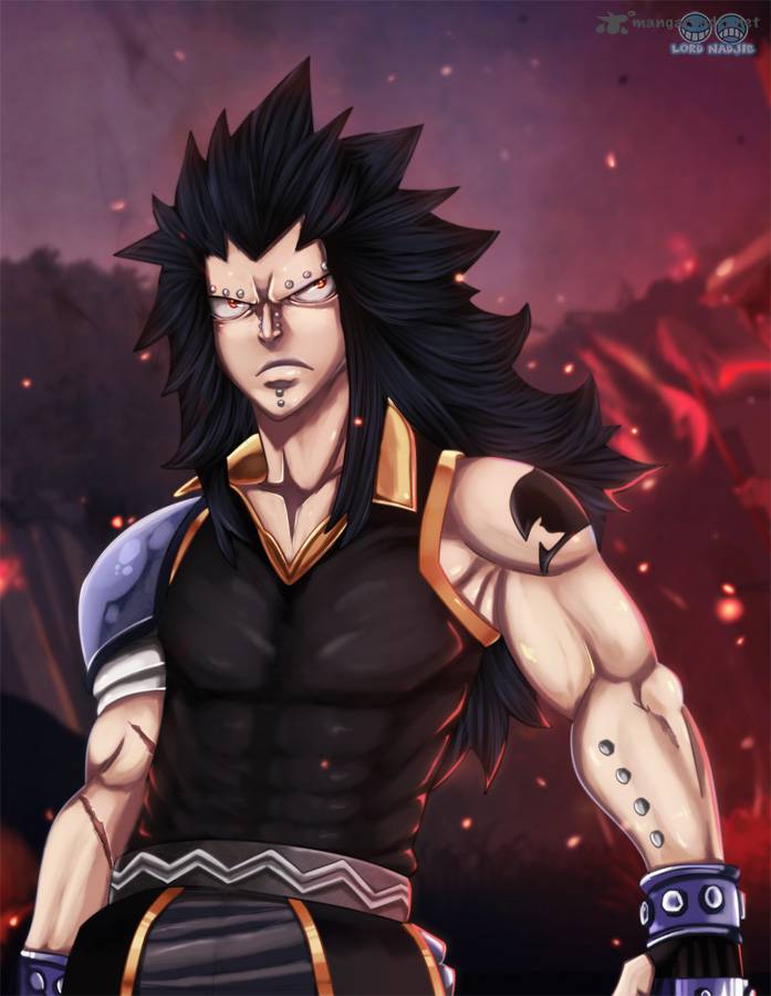 Fairy Tail 334 2