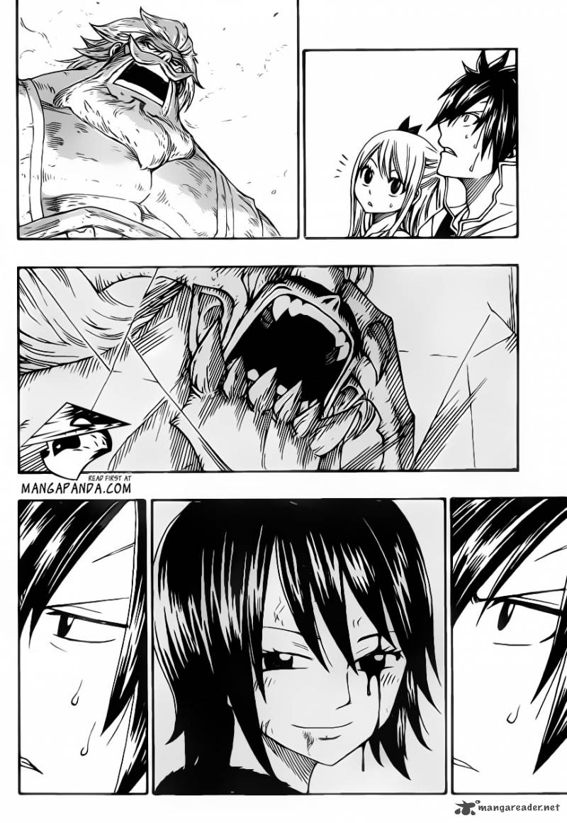 Fairy Tail 343 8