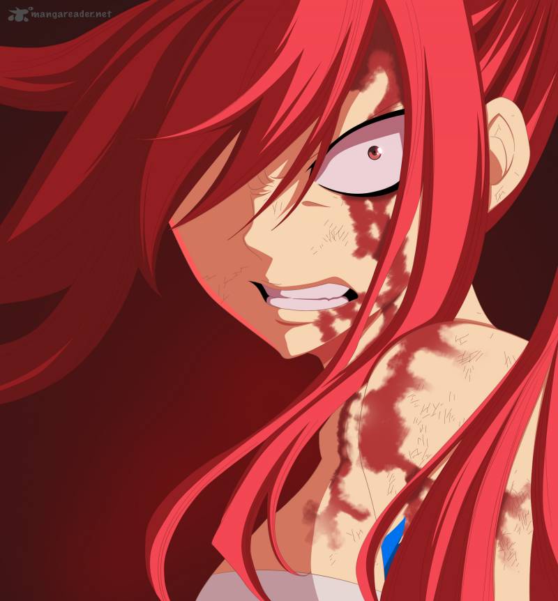 Fairy Tail 363 2