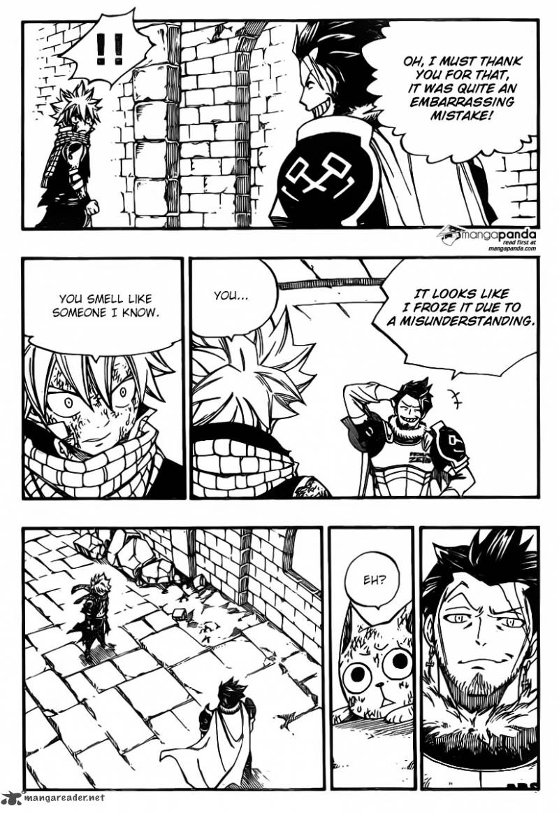 Fairy Tail 366 19