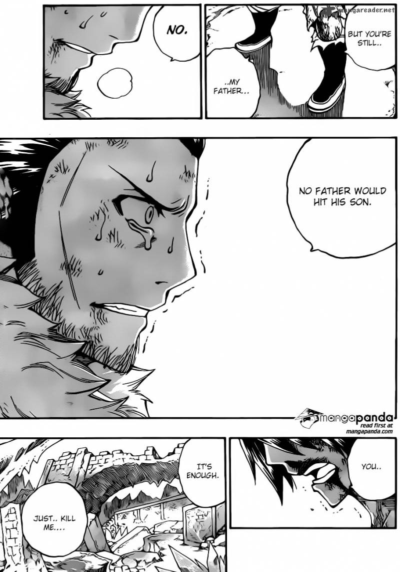 Fairy Tail 393 13