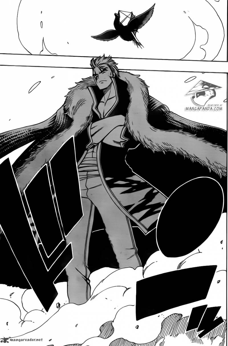 Fairy Tail 447 11