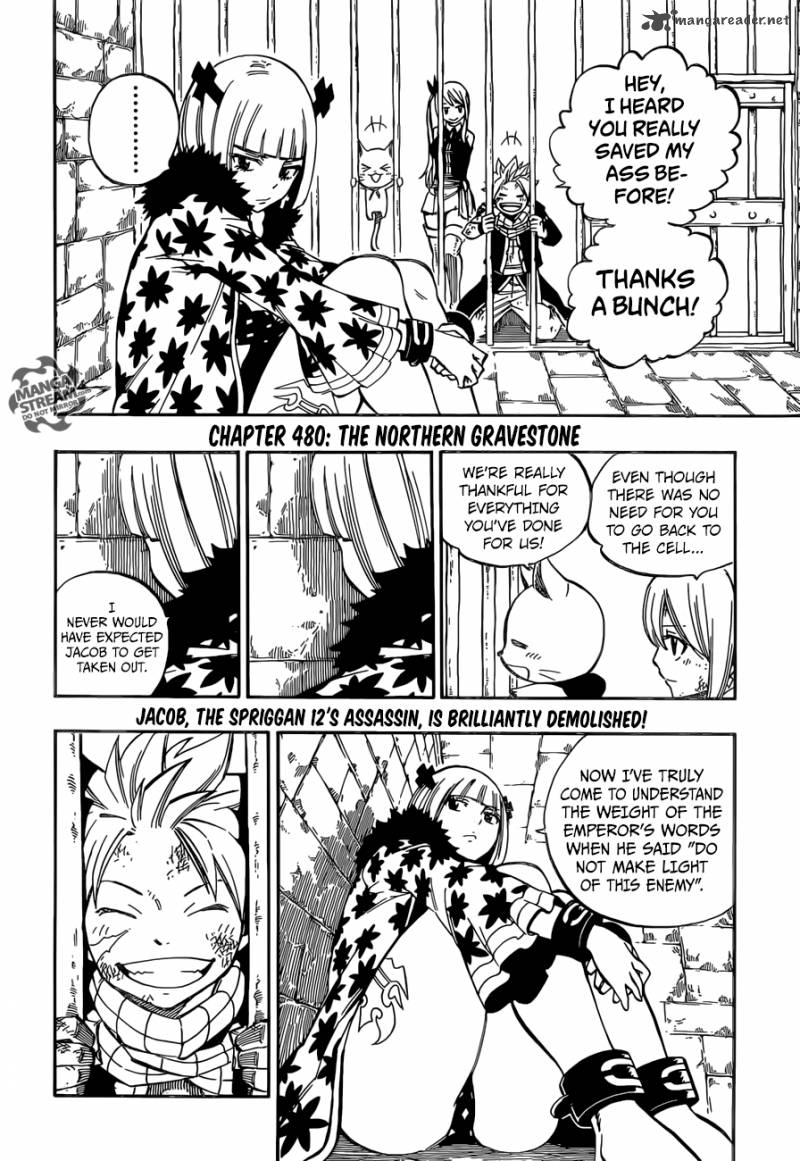 Fairy Tail 480 4