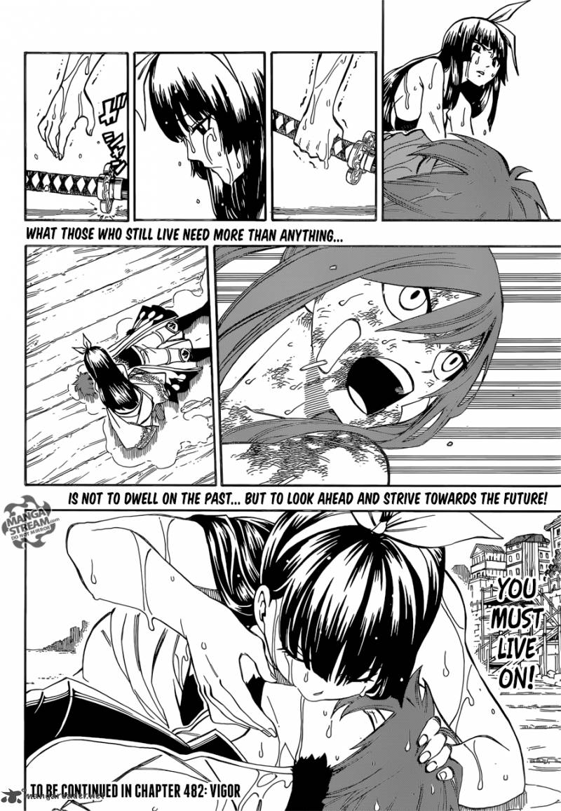 Fairy Tail 481 22