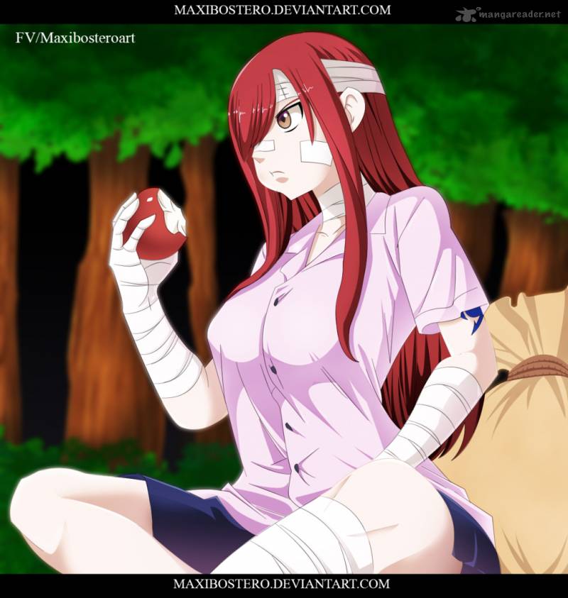Fairy Tail 483 27