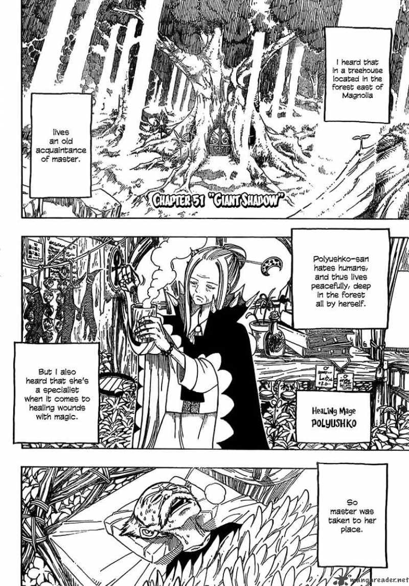 Fairy Tail 51 2